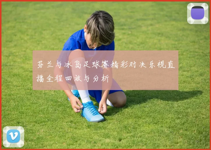 芬兰与冰岛足球赛精彩对决乐视直播全程回放与分析