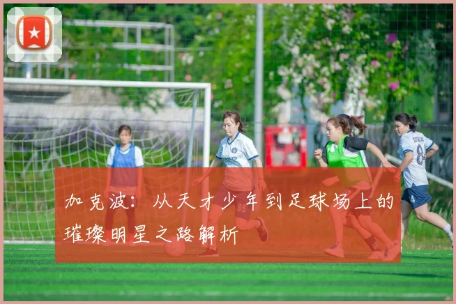 加克波：从天才少年到足球场上的璀璨明星之路解析