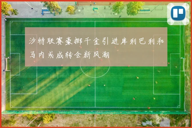 沙特联赛豪掷千金引进库利巴利和马内或成转会新风潮